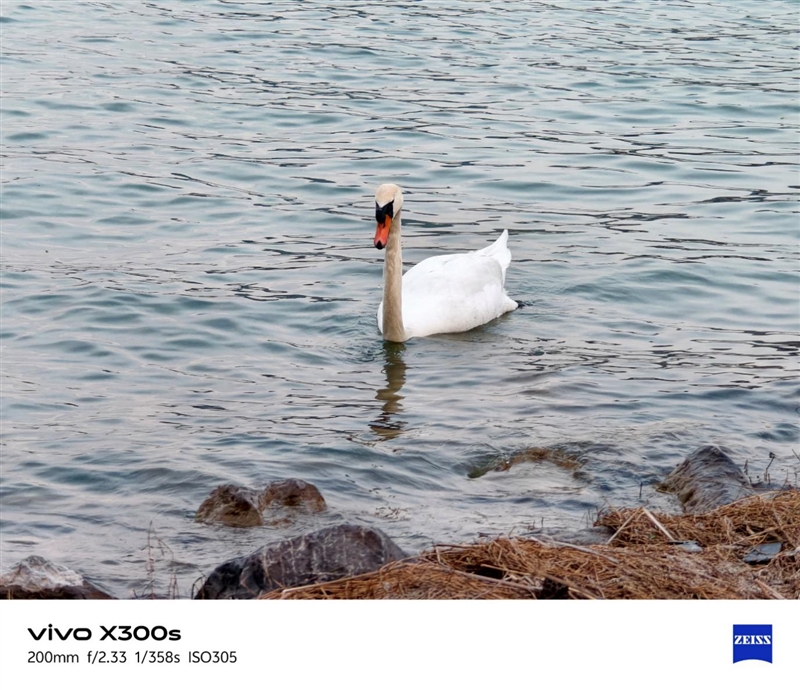 天玑9500搭配蔡司影像 vivo X300s手机全面评测:省心耐用的直屏主力机