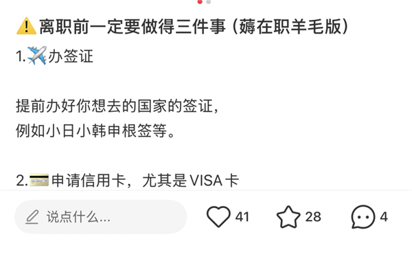 怒办签证是这个时代打工人离职前的最后一舞