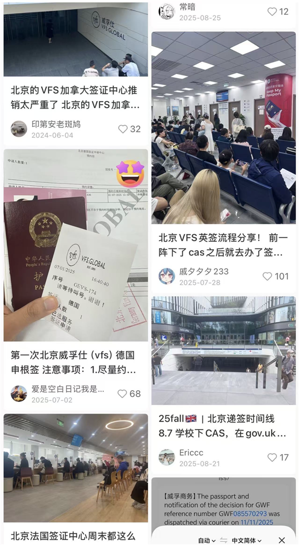 怒办签证是这个时代打工人离职前的最后一舞