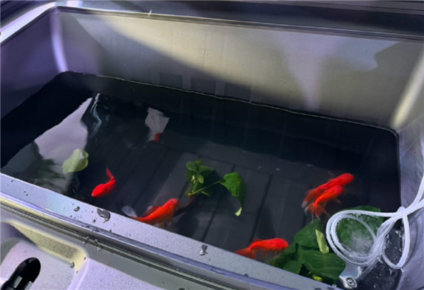 19.98万元起！方程豹钛7 EV闪充版上市：755km全球续航最长纯电方盒子