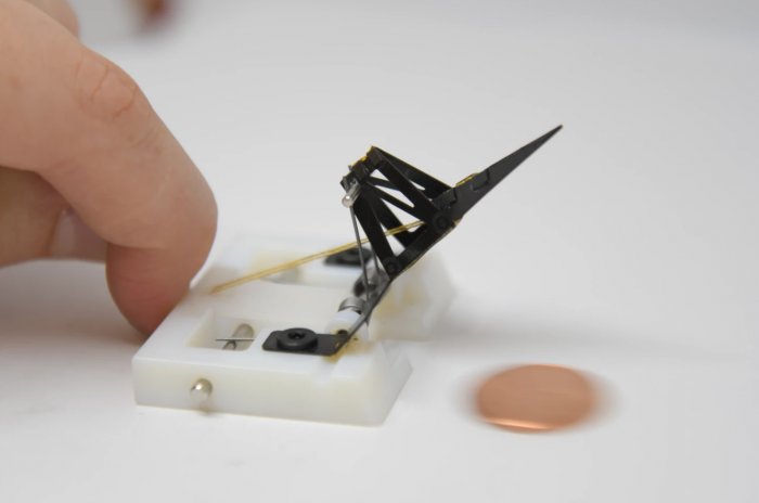 哈佛科学家创造微型机器人：模仿螳螂虾的“弹簧铁拳”机制
