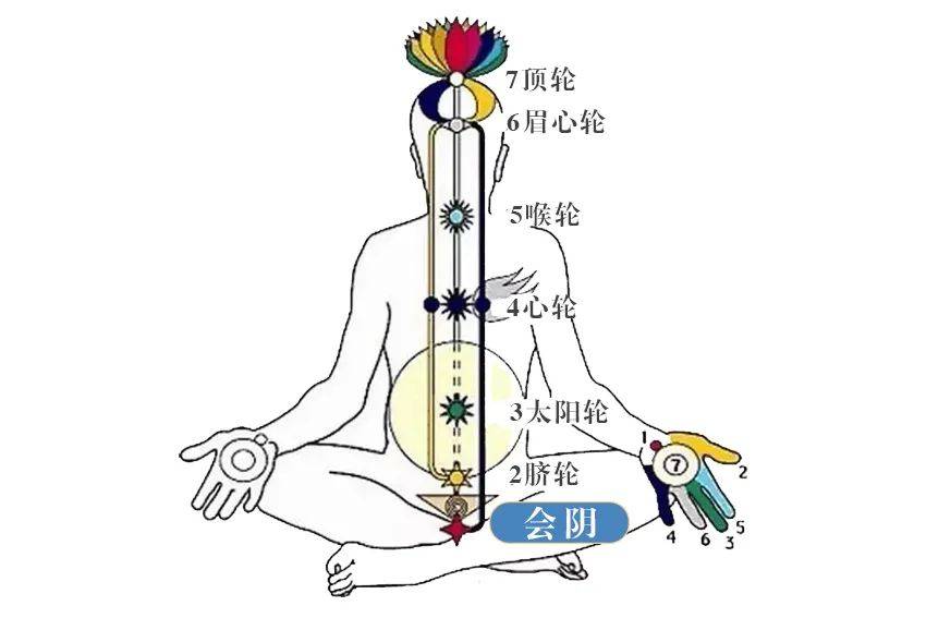 灸身体一处“铁扇门”好处数不尽，调生殖功能作用最强 