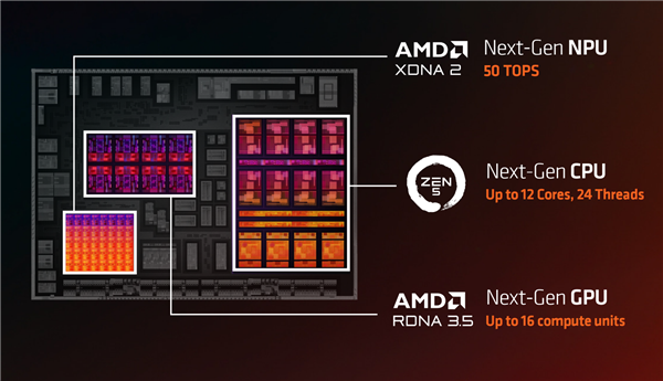 50万亿次世界最强NPU怎么玩？AMD给出了最好的答案