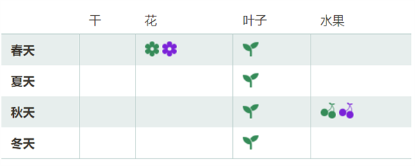 八月瓜上市！通便、维生素C含量高：很多人可能第一次见