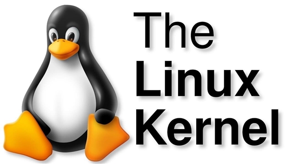 Linux开源翻车、RISC-V开放隐忧:中国自主科技的真正出路在哪儿
