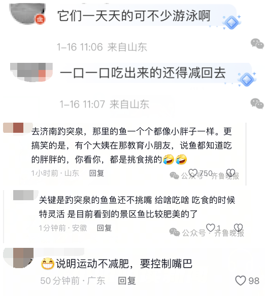 趵突泉锦鲤胖的跟猪一样 园区:再喂就噶了!