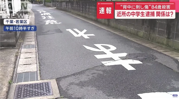 日本崩坏:犯罪激增怪老外吗