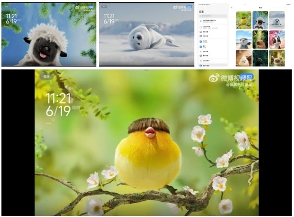 小米澎湃OS 3新特性曝光:新增动态壁纸 支持4K显示和互动触控