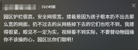 女子抱闺女探出护栏喂老虎被批不安全 本人：不要操不该操的心